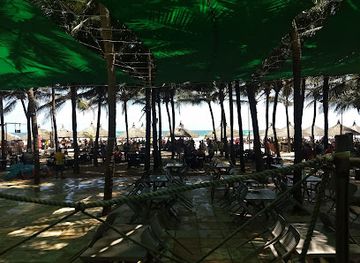 brazil/northeast-region/nightclub/crocobeach