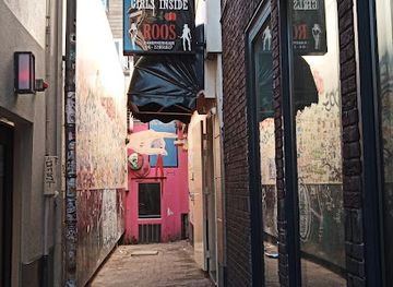 netherlands/amsterdam/centrum/nightclub/roos-kamer