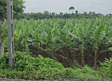 india/kolkata/howrah/nightclub/west-bengal