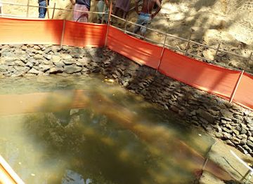 india/tripura/nightclub/rubber-city