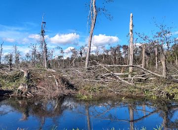 virginia/great-dismal-swamp-national-wildlife-refuge/nightclub/great-dismal-swamp-national-wildlife-refuge