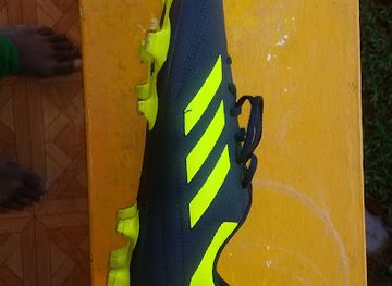 grenada/hillsborough/nightclub/hondorus