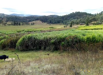 guatemala/chichicastenango-market/nightclub/la-estancia