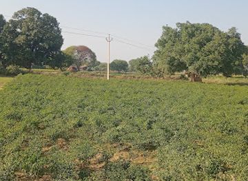 india/kanpur/nightclub/club-cabana