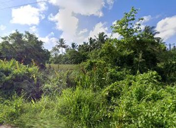 sri-lanka/ruhuna/nightclub/ovinge-watta