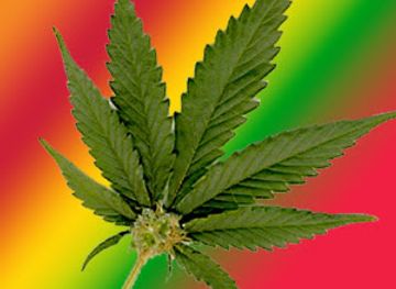 tanzania/coastal-zone/nightclub/dunga-mess-club-zanzibar