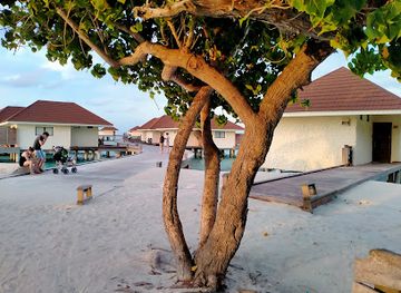 maldives/alimatha-island/nightclub/bravo-club