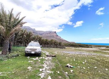 yemen/socotra-island/nightclub/2socotra-tour-packages-provider