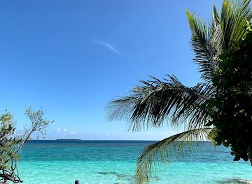 maldives/baa-atoll/nightclub/lagoon-bar