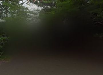 cambodia/kep-province/nightclub/kon-pov