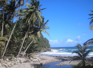 dominica/batibou-beach/nightclub/trevy-s-place