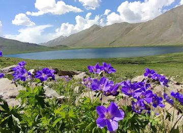 pakistan/deosai-national-park/nightclub/deosai-top-sadpara-broque