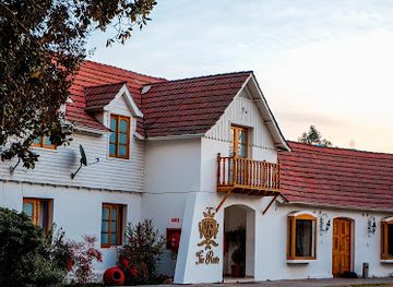 chile/colchagua-valley/nightclub/tia-ruth