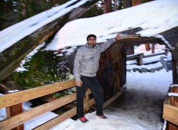 california/sequoia-national-park/nightclub/totem-market-gifts