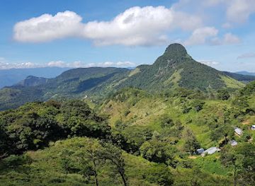 sri-lanka/knuckles-mountain-range/nightclub/knuckles-forest-reserve