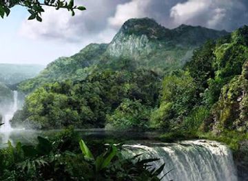 bolivia/madidi-national-park/nightclub/parque-nacional-madidi