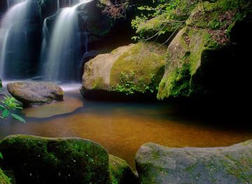 alabama/dismals-canyon/nightclub/dismals-canyon