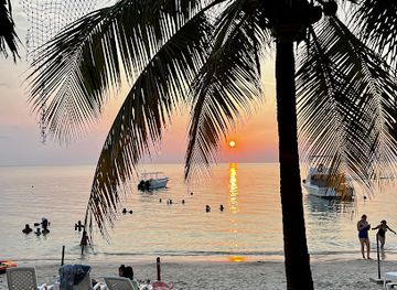 honduras/bay-islands/nightclub/paradise-beach-bar