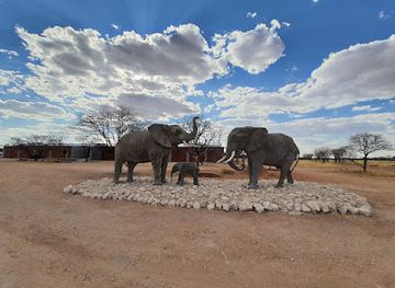 namibia/etosha-national-park/nightclub/etosha-corner