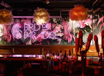 Bird of Paradise