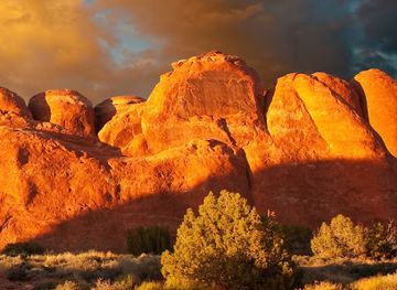 somalia/banaadir/nightclub/mounta-sinay