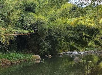 grenada/saint-mark/nightclub/riverdale-bar-and-lounge-gnd