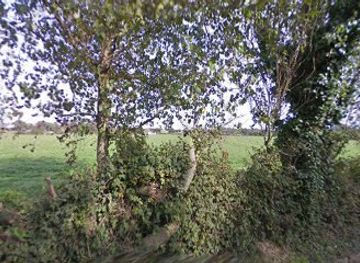 jersey/st-ouen-s-bay/nightclub/fredifazber