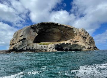 australia/wilson-s-promontory-national-park/nightclub/wilsons-promontory-cruises