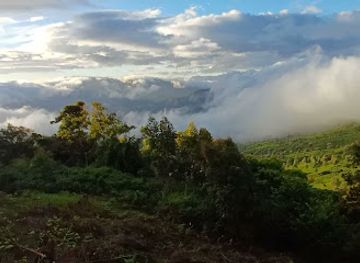 india/munnar/nightclub/munnar-tourist-places