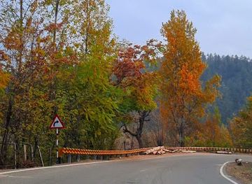 india/kashmir-great-lakes/nightclub/aman-panwar