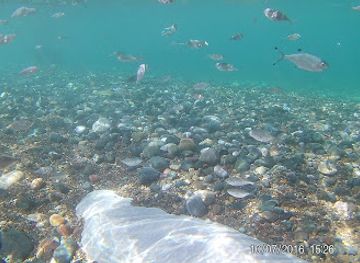 algeria/tlemcen-region/nightclub/plage-barbajani