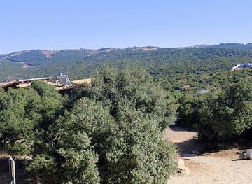 jordan/ajloun-forest-reserve/nightclub/ajloun-forest-reserve-visitor-center