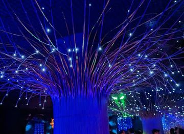 japan/nagoya/sakae/nightclub/w-w