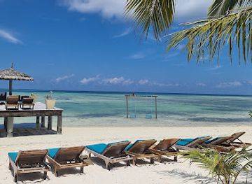 Beach Bar