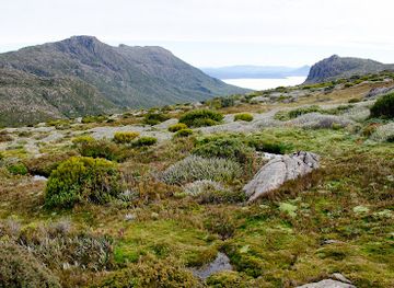 australia/mount-field-national-park/nightclub/rodway-range