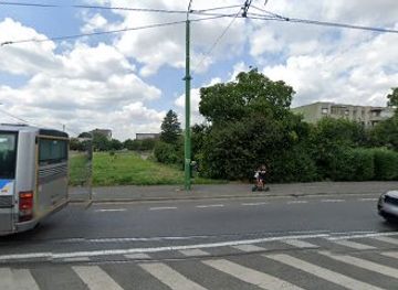 romania/arad/nightclub/girls