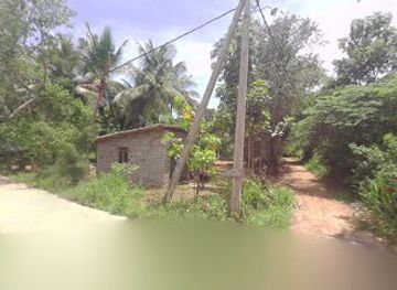 sri-lanka/minneriya-national-park/nightclub/champa