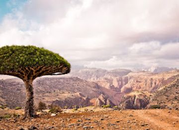 yemen/socotra-island/nightclub/socotra-advisor-tours