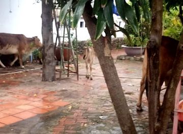 vietnam/mui-ne/nightclub/karaoke-nha-nghi-lang-chai