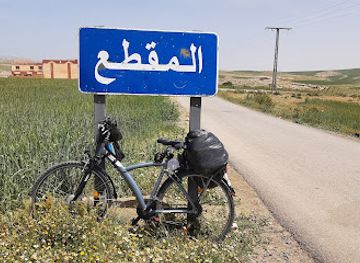 algeria/tell-atlas/nightclub/