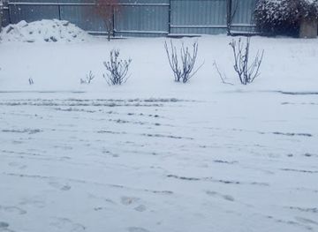 moldova/hotin-county/nightclub/chameleon-club