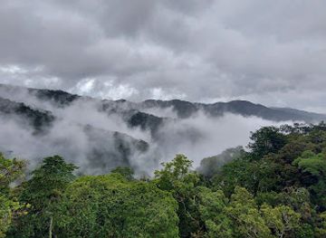 rwanda/nyungwe-forest-national-park/nightclub/nyungwe-national-park-reception
