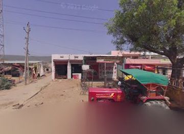 india/ranthambore/nightclub/sree-shyam-band-dj-sound