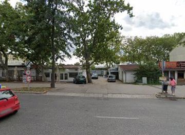 hungary/szekesfehervar/nightclub/club-virgin-kft