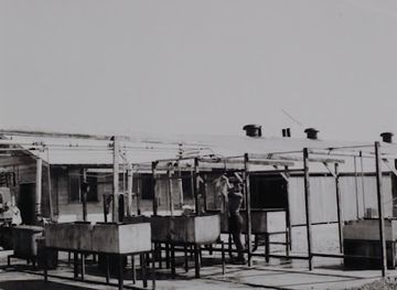 kiribati/kiritimati-christmas-island/nightclub/aeon-field