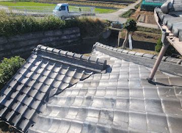 japan/shikoku-island/nightclub/owl