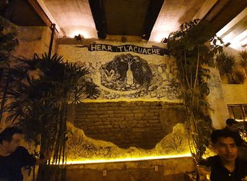 mexico/oaxaca/centro-historico/nightclub/herr-tlacuache-oaxaca-musica-electronica