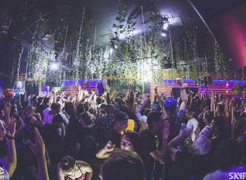 florida/miami-beach/nightclub/treehouse