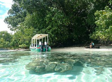 Dive Gizo