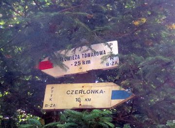 poland/białowieża-forest/nightclub/pttk-bialowieza-guide-service-in-national-park-wild-life-in-the-primeval-forest
